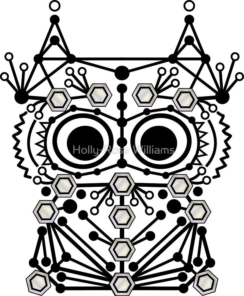 827x1000 Geometric Owl Vector By Holly Rose Williams Redbubble Owls