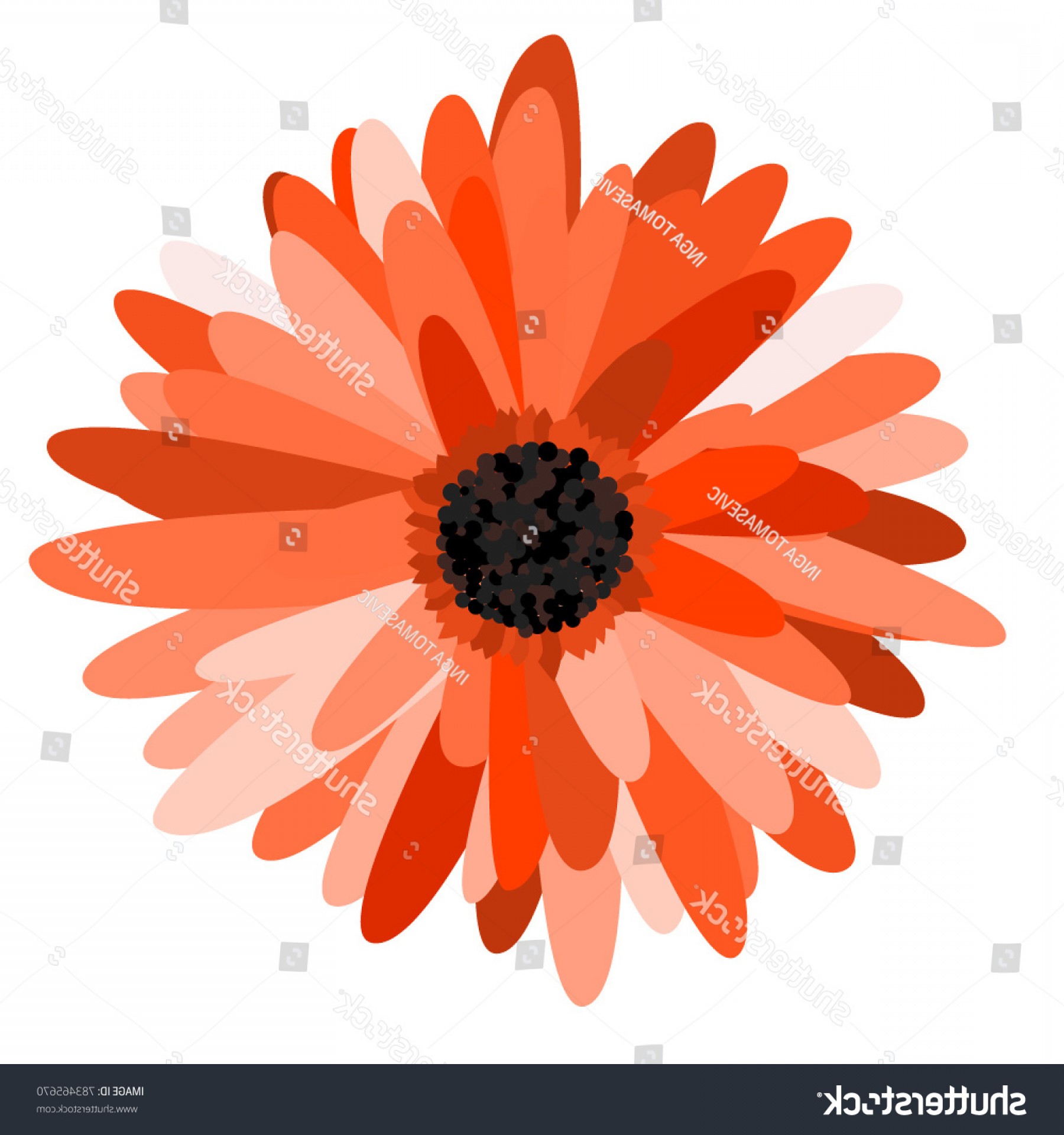 1800x1920 Trendy Gerbera Daisy Isolated Vector Flower Tablecloth Createmepink