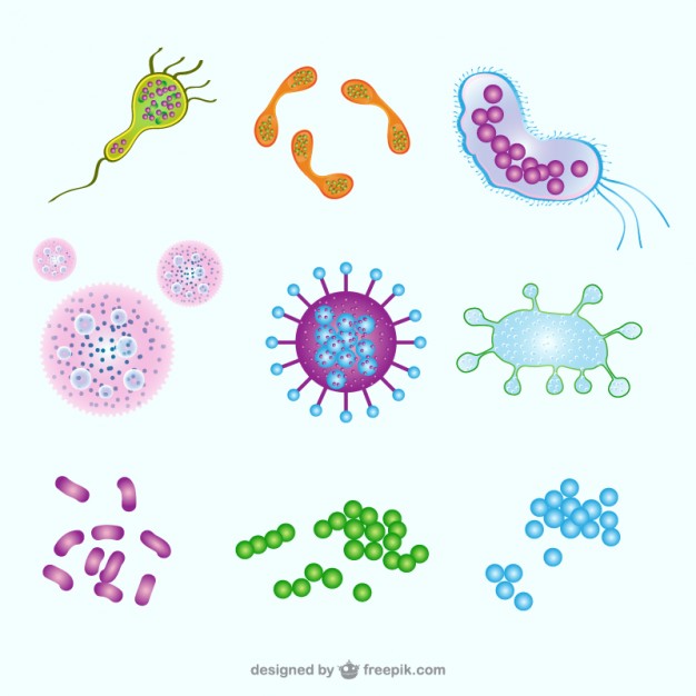 Germ Vector at GetDrawings | Free download