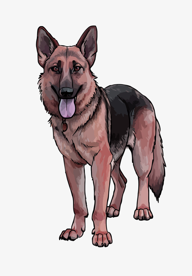 650x933 Dog Vector, German Shepherd Dog, Watercolor, Hand Png And Vector