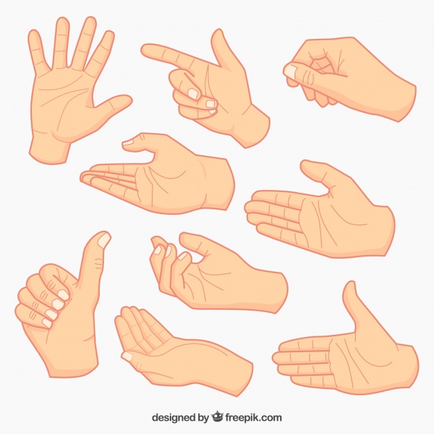 626x626 Hand Gesture Vectors, Photos And Psd Files Free Download