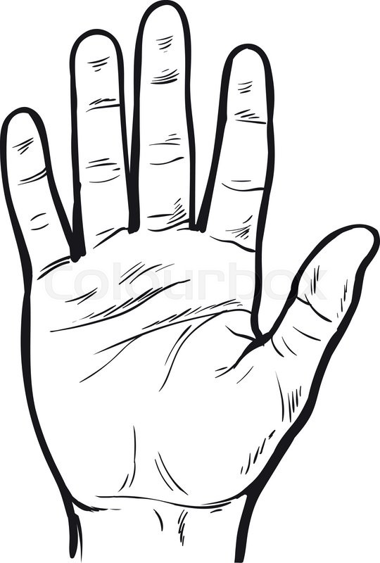 540x800 One Hand. Hand Showing Five Fingers. A Welcome Gesture. Stopping