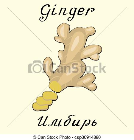 450x470 Ginger. Vector Drawing And Hand Lettering. In English And Russian