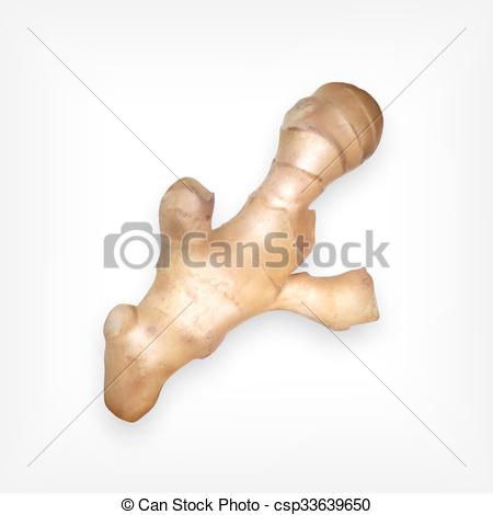 450x470 Ginger. Vector Icon. Eps10 Vector.