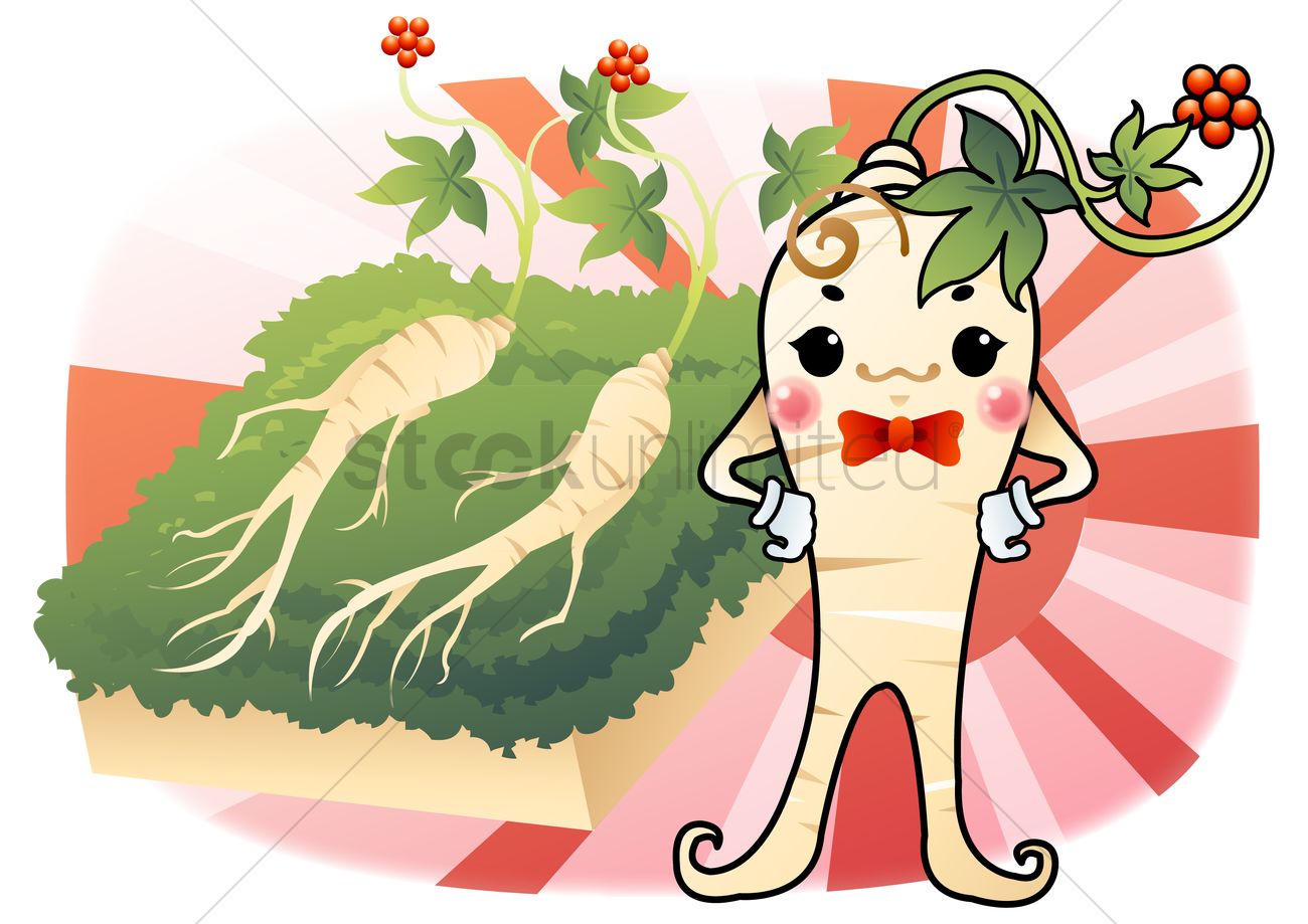 1300x919 Ginseng Vector Image