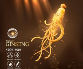 280x235 Ginseng Vector
