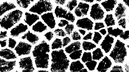 500x281 Black White Animal Skin Texture Giraffe Pattern Print Stock Image