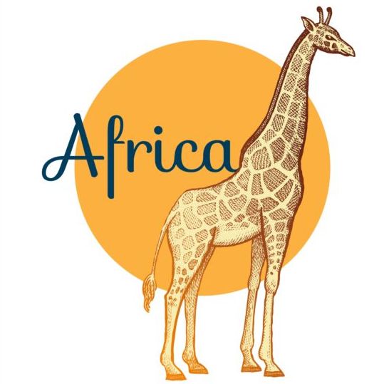 539x539 Africa Giraffe Vector Free Download