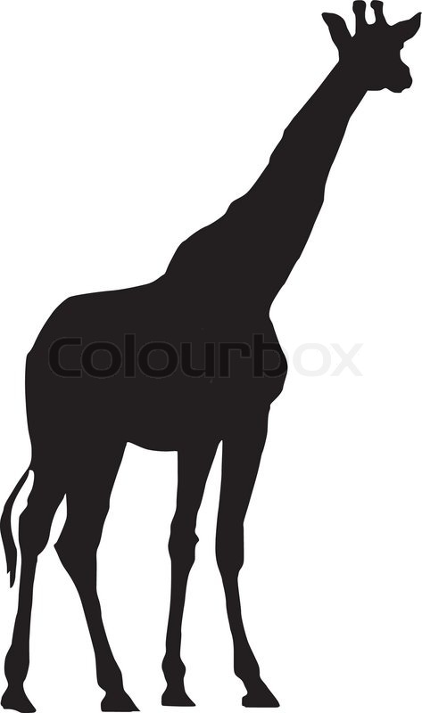 473x800 Vector Image Of Giraffe Stock Vector Colourbox