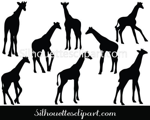 500x400 Baby Giraffe Vector Graphics Free Download Silhouettes Vector
