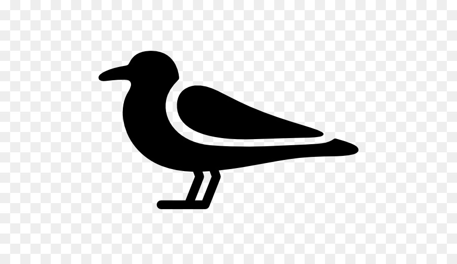 900x520 Bird Gulls Computer Icons Clip Art