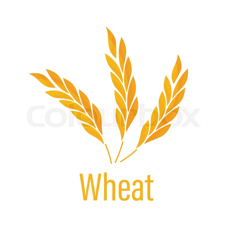 800x800 Gluten Free Icon. Ears Of Wheat Icon. Agricultural Symbols