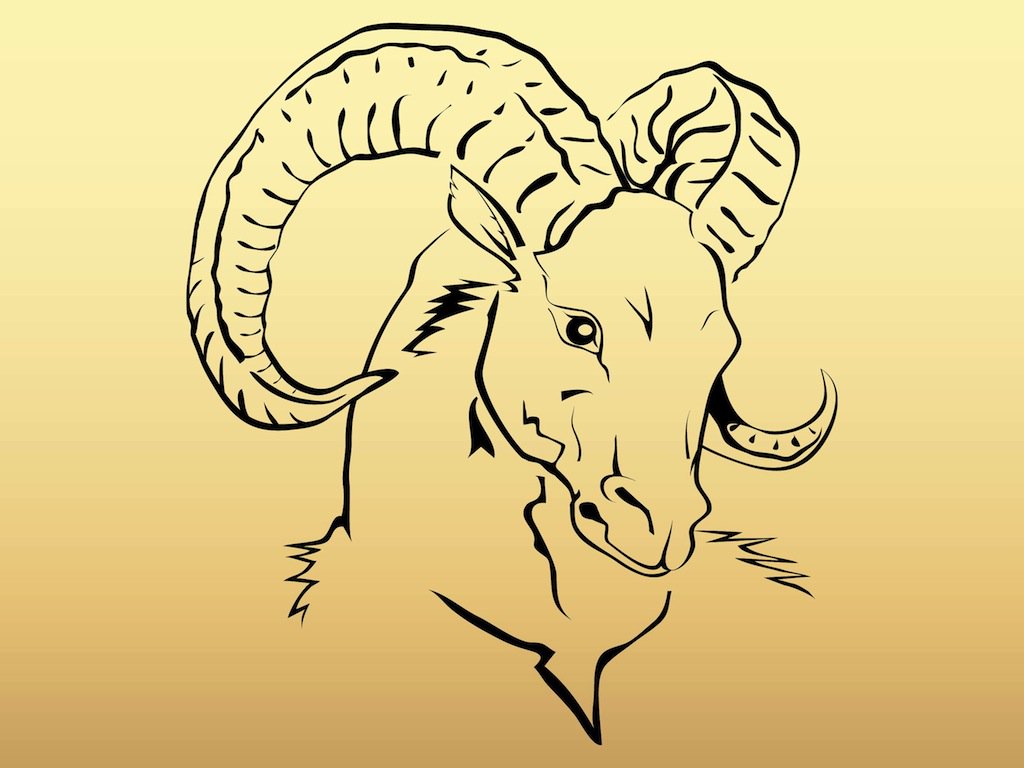 1024x768 Goat Head Vector Art Amp Graphics