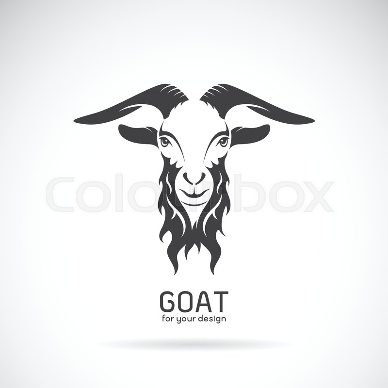 800x800 Vector Image Of A Goat Head Design On White Background, Vector