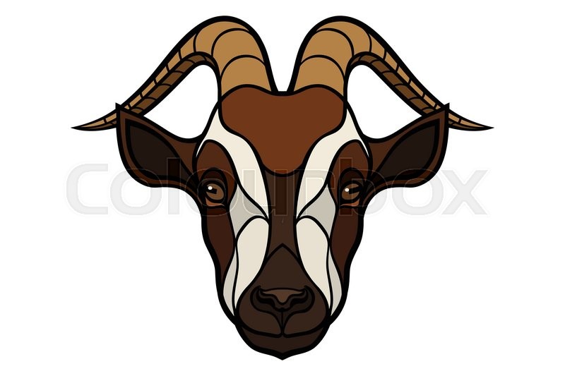 800x533 Vector Image Of Colored Goat Head Isolated On White Background