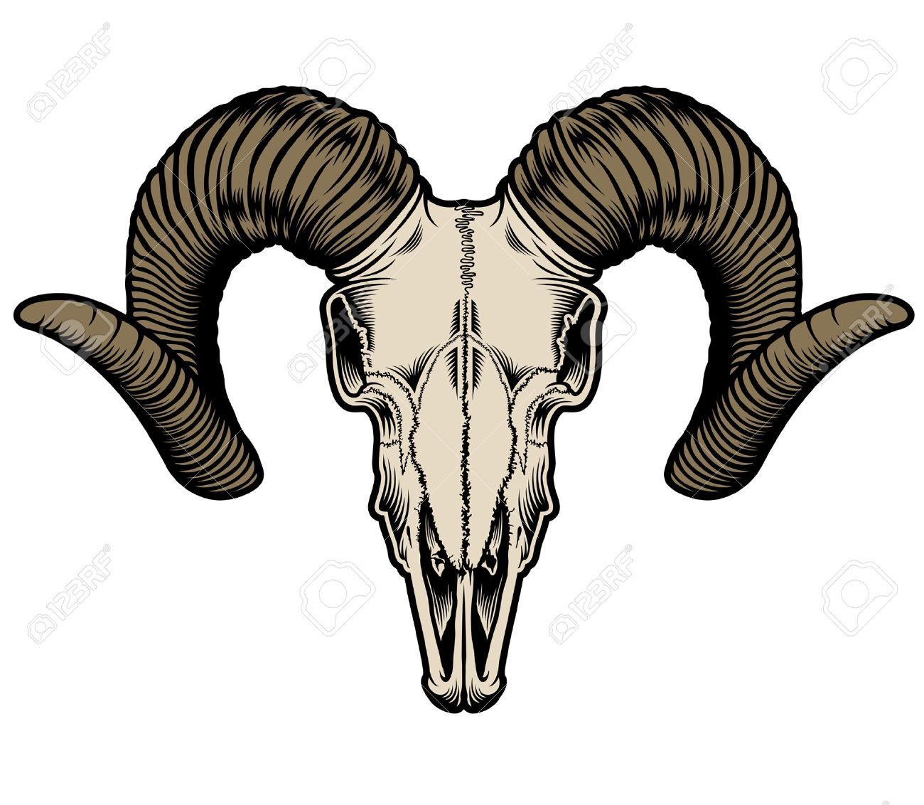 1300x1132 Goat Head Vector