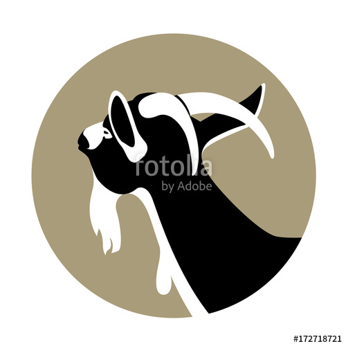 Goat Head Vector at GetDrawings | Free download