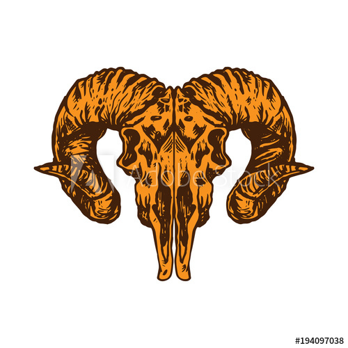 500x500 Goat Head Skull Vector