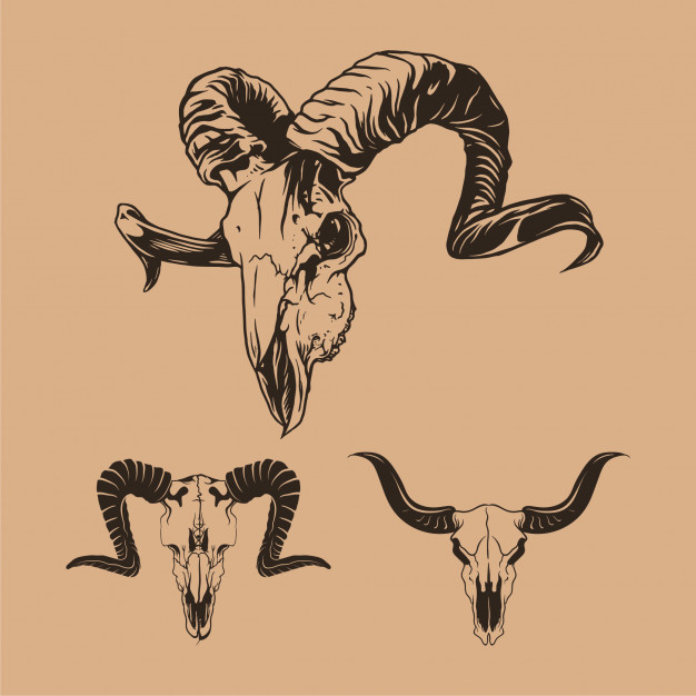 626x626 Goat Skull Hand Drawn Collection Vector Premium Download
