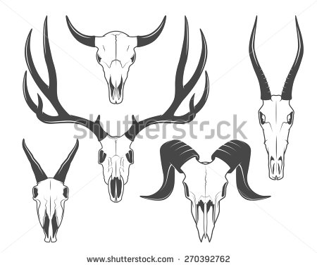 450x379 Skeleton Clipart Goat