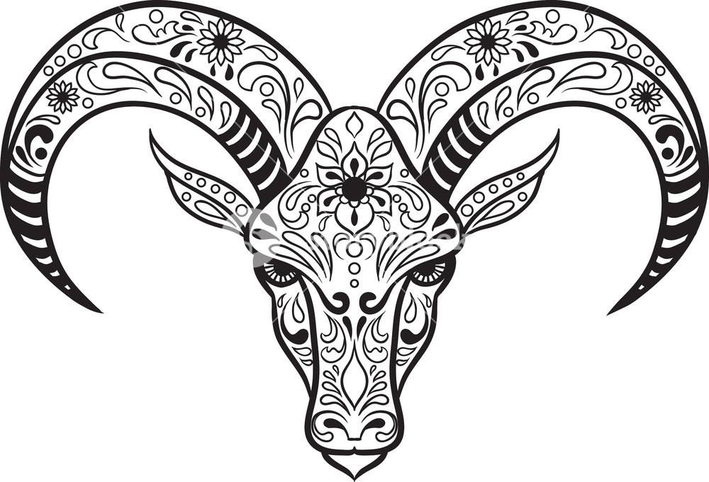 1000x681 Sugar Skull Vector Element Royalty Free Stock Image