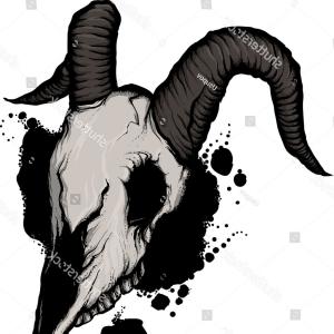 300x300 Anatomy Of Duck Head Engraving Illustration Mullard Stock Vector