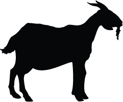 241x200 Goat Silhouette Silhouette Of Goat