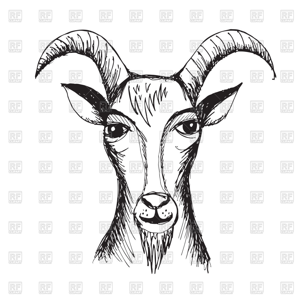 1200x1200 Hand Drawn Illustration Of Goat Vector Image Vector Artwork Of