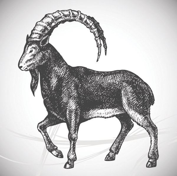 600x594 Hand Painted Goat Vector Material Free Download Web