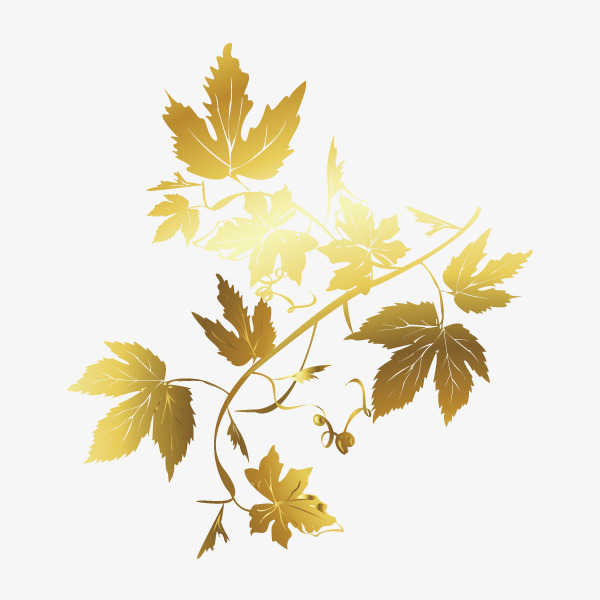 600x600 Gold Leaf Corner Decoration, Golden, Leaf, Gold Decorative Pattern