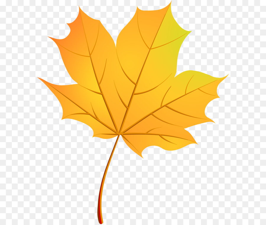 900x760 Autumn Leaves Maple Leaf