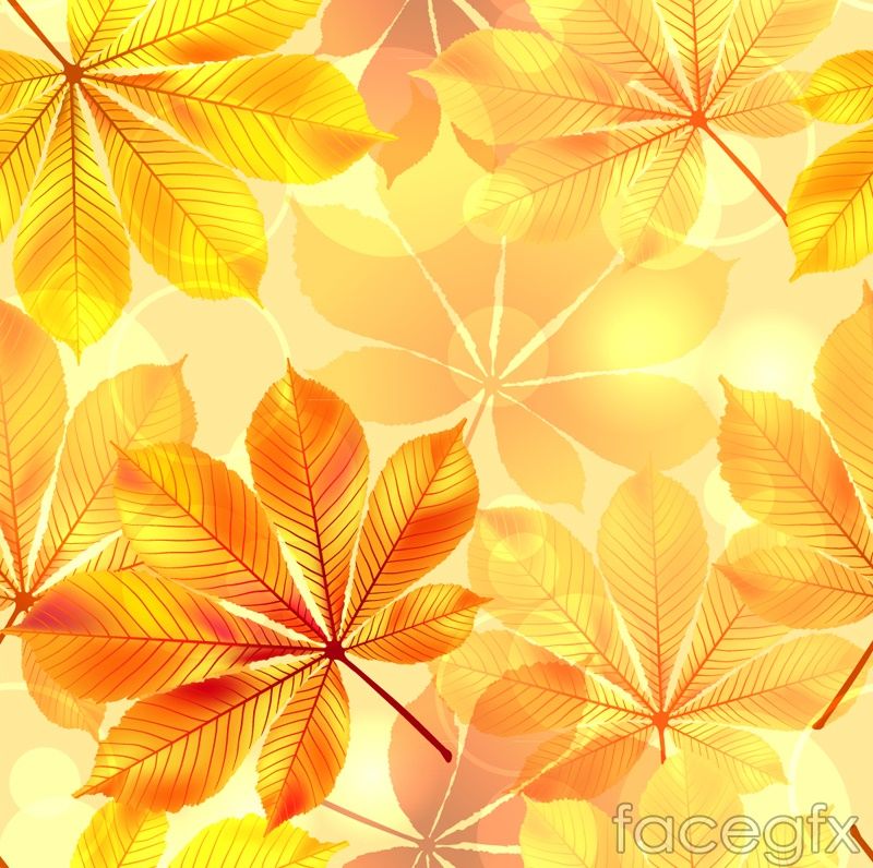 800x796 Autumn Gold Leaf Background Vector Paper Leaves