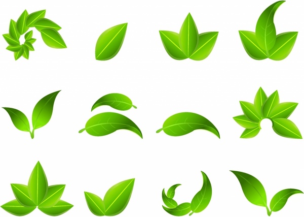 600x427 Leaf Vector Art