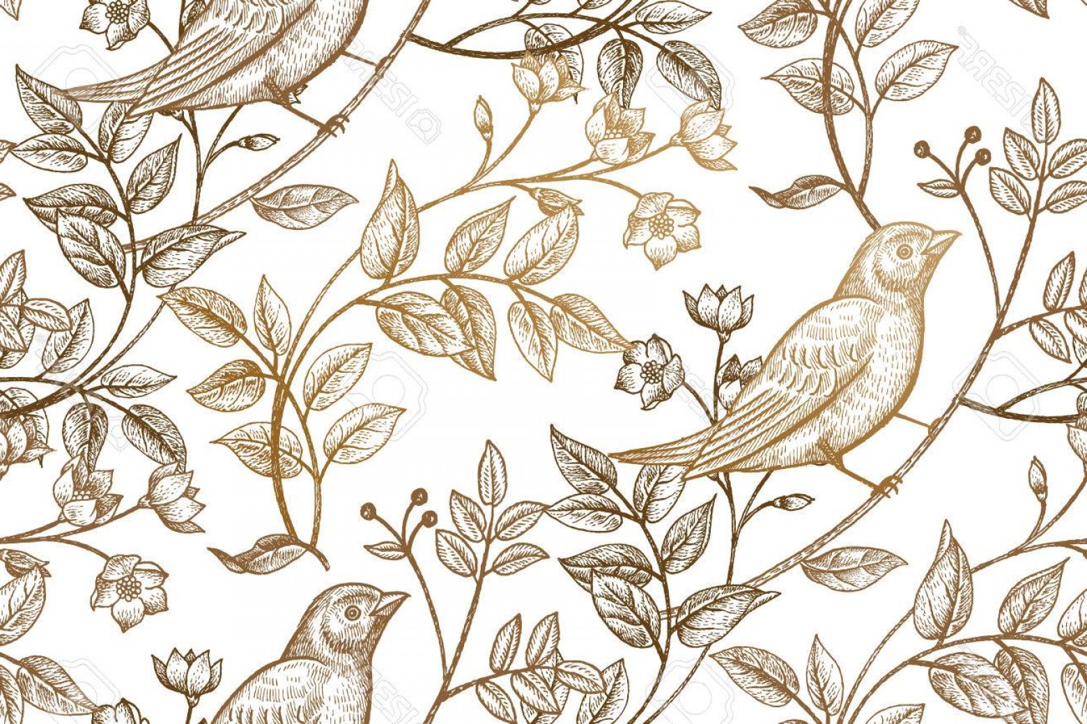 1560x1039 Photostock Vector Vintage Flowers Branches Leaves Birds Print Gold