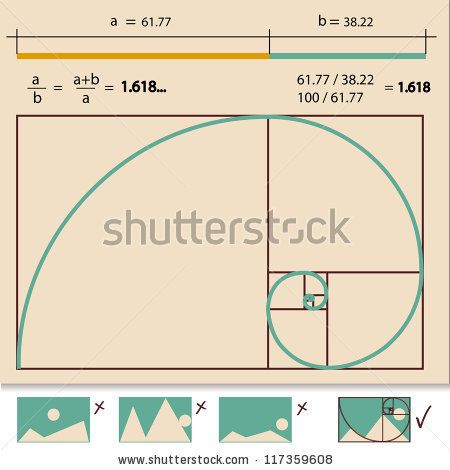 450x470 Golden Ratio,golden Proportion Vector Illustration Mandala