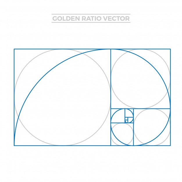 626x626 Golden Ratio Template Vector Free Download