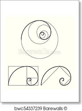 285x382 Art Print Of Golden Ratio Template Set. Proportion Symbol. Graphic