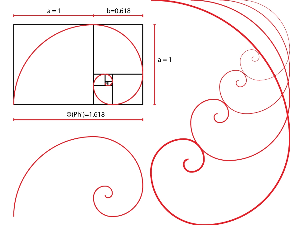 930x720 Golden Ratio Spiral Design Tool