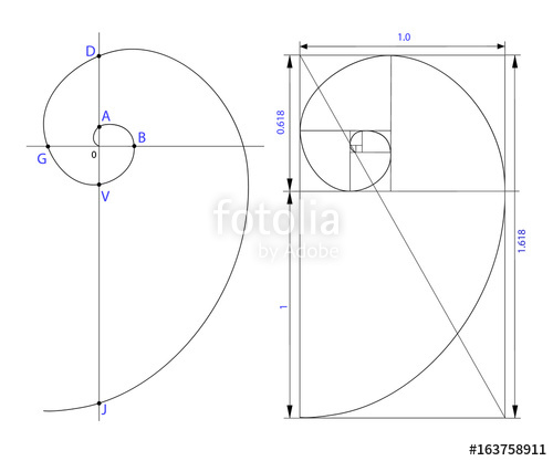500x417 Golden Ratio Stock Image And Royalty Free Vector Files On Fotolia