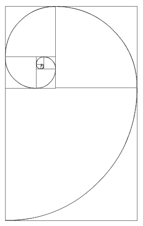 282x444 The Nautilus Shell Spiral As A Golden Spiral