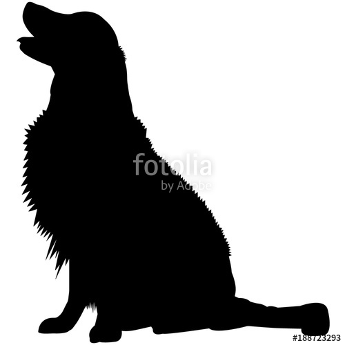 500x500 Golden Retriever Dog Silhouette Vector Graphics Stock Image And