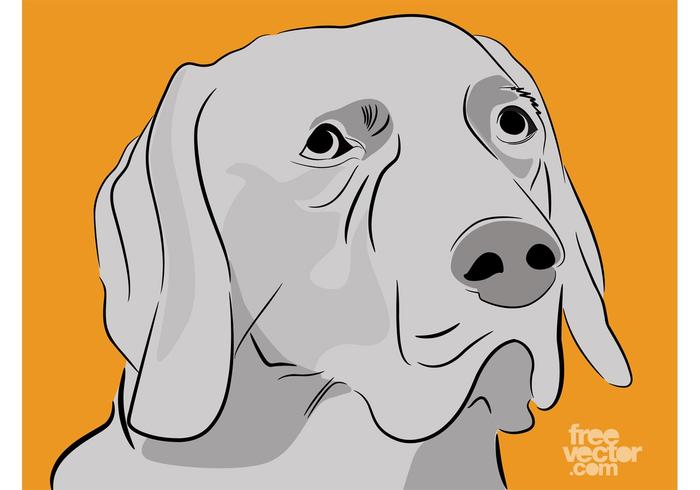 700x490 Golden Retriever Free Vector Art