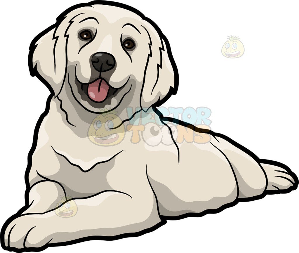 1024x866 Little Golden Retriever Vector 3785589 2
