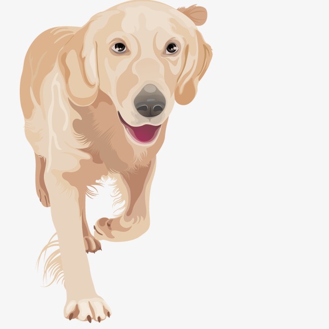 650x650 Vector Golden Retriever Puppy, Animal, Hand Painted, Dogs Png And