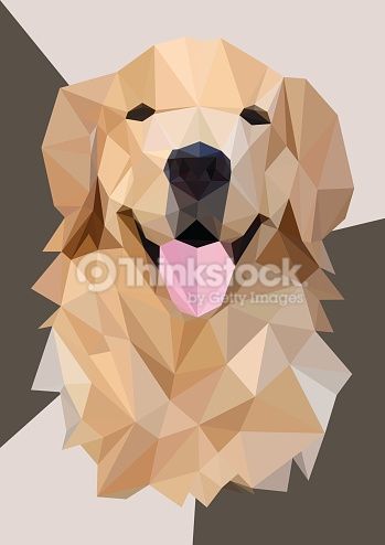 349x494 Low Poly Head Golden Retriever,vector Art Ideas In 2018