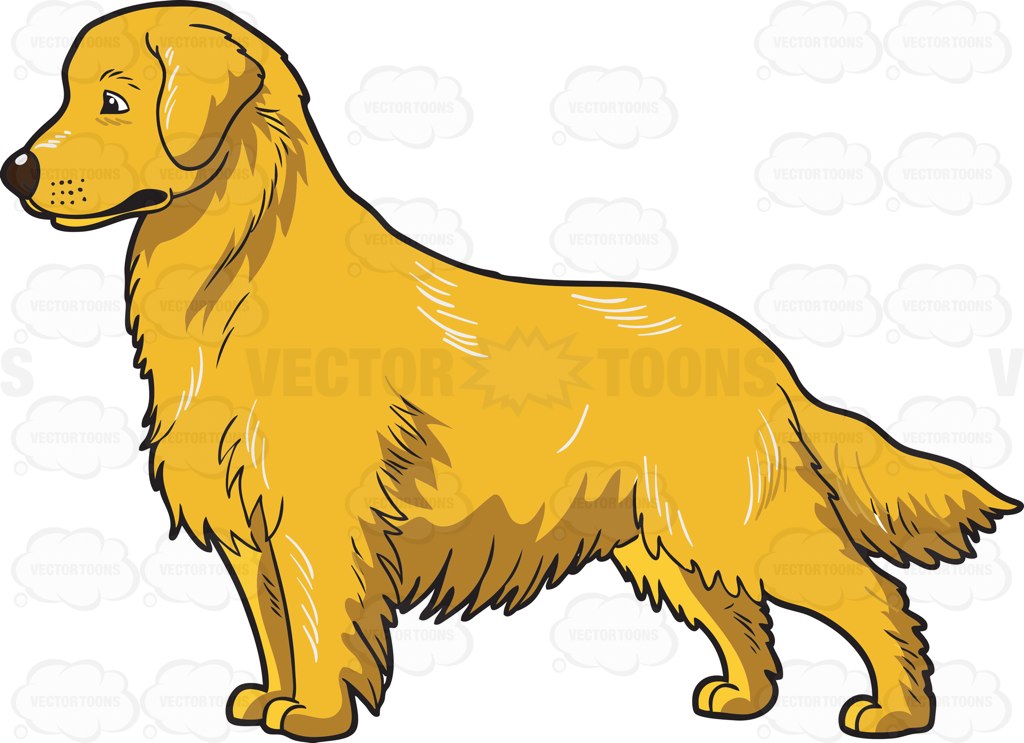 1024x743 An Adorable Golden Retriever Clipart By Vector Toons