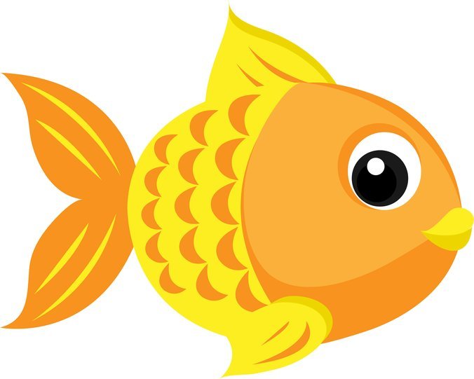 676x541 Free Goldfish Vector 4 Psd Files, Vectors Amp Graphics