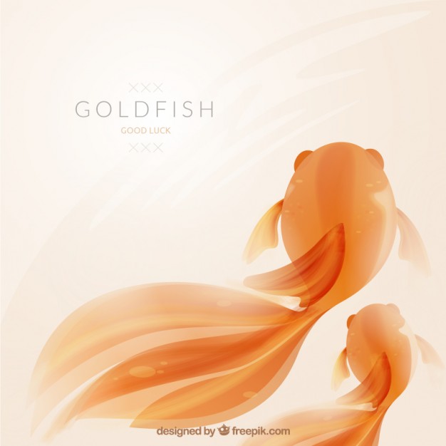 626x626 Goldfish Vector Premium Download
