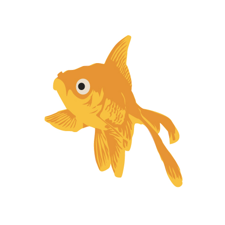 460x460 Goldfish Vector By Girlonthem00n