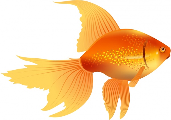 600x420 Goldfish Vector Free Vector In Encapsulated Postscript Eps ( .eps